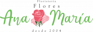 Inicio - Flores Ana María