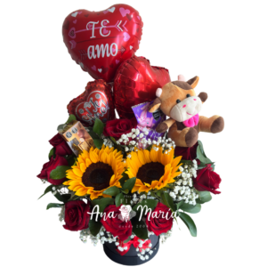 Ancheta amor y amistad 1